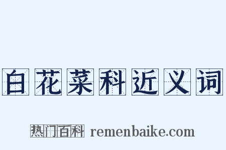 白花菜科近义词是什么意思的图片